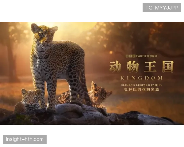 《范戴克纪录片揭秘成长历程与职业挑战，展现巨星崛起之路》